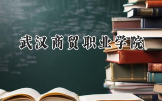 武汉商贸职业学院2024在青海录取分数线是多少？最低245分/最高263分