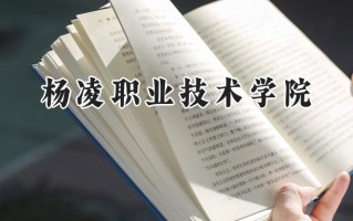 2024杨凌职业技术学院录取分数线：陕西最低379分