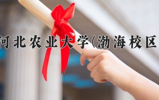 河北农业大学(渤海校区)一年学费多少钱及各专业的收费标准(2025参考）