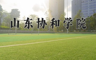 山东协和学院王牌专业排名-含2024年全国各省录取最低分数线