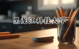 黑龙江科技大学2024在内蒙古录取分数线是多少？最低389分/最高496分