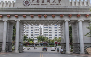 广西医科大学2024年各学科排名一览表！附教育部评级比例