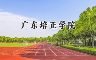广东培正学院2024在浙江录取分数线是多少？最低469分/最高553分