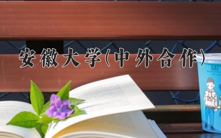 2025年安徽大学(中外合作)在四川计划招生人数（附学费及专业录取分)