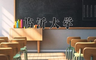 辽宁考生多少分能上临沂大学？2025最低503分