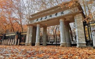 西安美术学院2024年各学科排名一览表！附教育部评级比例