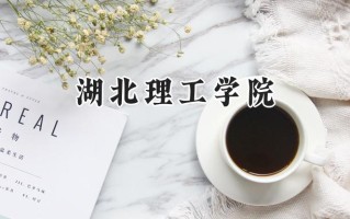湖北理工学院2024在青海录取分数线是多少？最低367分/最高431分