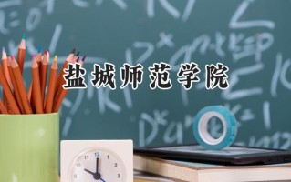 2024盐城师范学院录取分数线：河南最低486分