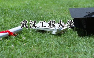 武汉工程大学2024在上海录取分数线是多少？最低445分/最高448分