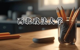 西北政法大学2024在福建录取分数线是多少？最低515分/最高614分