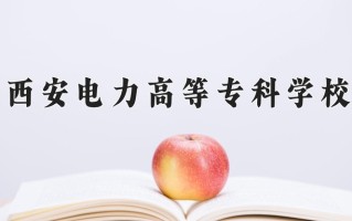 2024年西安电力高等专科学校招生章程，附办学层次和录取规则