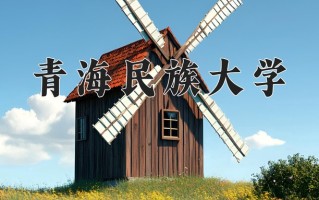 辽宁考生多少分能上青海民族大学？2025最低458分