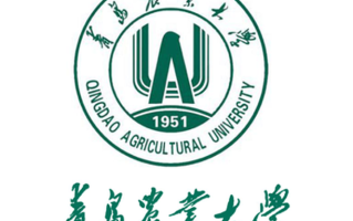 山东二本公办大学排名及分数线一览表（2024填报参考）