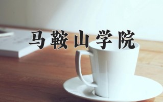 2024年马鞍山学院招生章程，附办学层次和录取规则