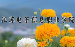 江苏电子信息职业学院一年学费多少钱及各专业的收费标准(2025参考）