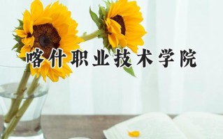 2024喀什职业技术学院录取分数线：江苏最低227分