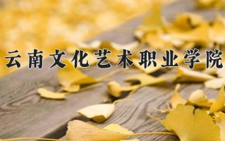 2024年云南文化艺术职业学院招生章程，附办学层次和录取规则