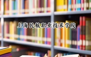 上海民航职业技术学院2024在内蒙古录取分数线是多少？最低331分/最高368分