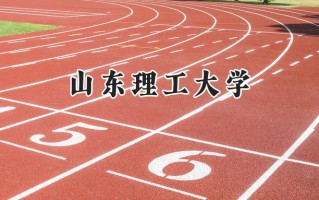 2024山东理工大学录取分数线：天津最低534分