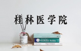 2024年桂林医学院招生章程，附办学层次和录取规则