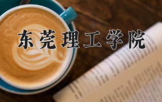 2025年东莞理工学院在四川计划招生人数（附学费及专业录取分)