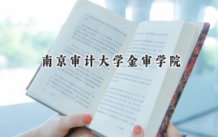 南京审计大学金审学院2024在上海录取分数线是多少？最低417分/最高432分
