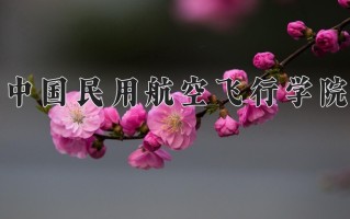 青海409分能上什么好大学？附2025年可以报考的大学名单