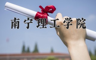 2024年南宁理工学院招生章程，附办学层次和录取规则