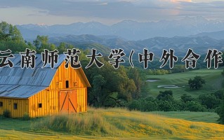 2025年云南师范大学(中外合作)在四川计划招生人数（附学费及专业录取分)
