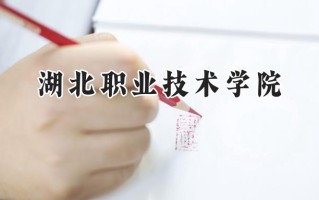 湖北职业技术学院2024在青海录取分数线是多少？最低281分/最高304分