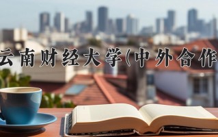 2025年云南财经大学(中外合作)在重庆计划招生人数（附学费及专业录取分)