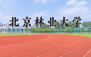 2024年北京林业大学招生章程，附办学层次和录取规则