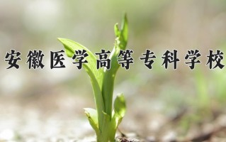 2024年安徽医学高等专科学校招生章程，附办学层次和录取规则