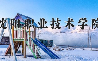 沈阳职业技术学院一年学费多少钱及各专业的收费标准(2025参考）