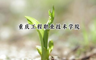 2024重庆工程职业技术学院录取分数线：江苏最低419分