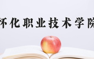 2025年怀化职业技术学院在新疆计划招生人数（附学费及专业录取分)