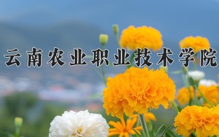 2024年云南农业职业技术学院招生章程，附办学层次和录取规则