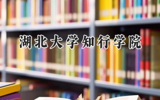 2024湖北大学知行学院录取分数线：山西最低404分