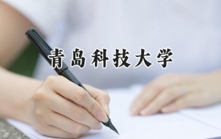 青岛科技大学2024在浙江录取分数线是多少？最低503分/最高593分