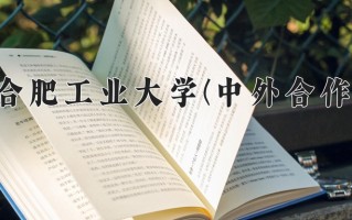 2025年合肥工业大学(中外合作)在四川计划招生人数（附学费及专业录取分)