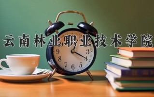 云南407分能上什么大学？附2025年可以报考的大学名单