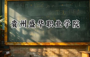 贵州盛华职业学院2024在青海录取分数线是多少？最低234分/最高305分