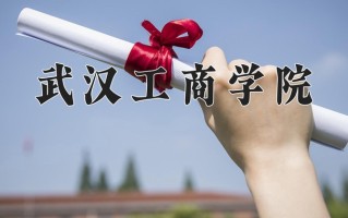 2024年武汉工商学院招生章程，附办学层次和录取规则