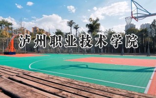 泸州职业技术学院2024在青海录取分数线是多少？最低279分/最高337分