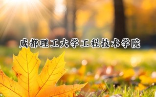 2024成都理工大学工程技术学院录取分数线：江苏最低466分