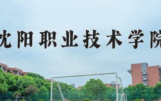 2024年沈阳职业技术学院招生章程，附办学层次和录取规则
