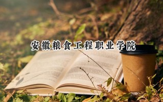 安徽粮食工程职业学院2024在浙江录取分数线是多少？最低454分/最高465分