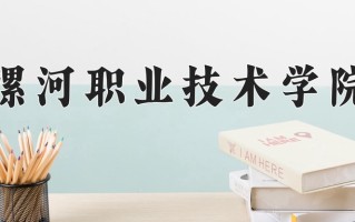 2024年漯河职业技术学院招生章程，附办学层次和录取规则