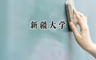 2024新疆大学录取分数线：山西最低530分