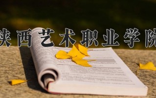 2025年陕西艺术职业学院在新疆计划招生人数（附学费及专业录取分)